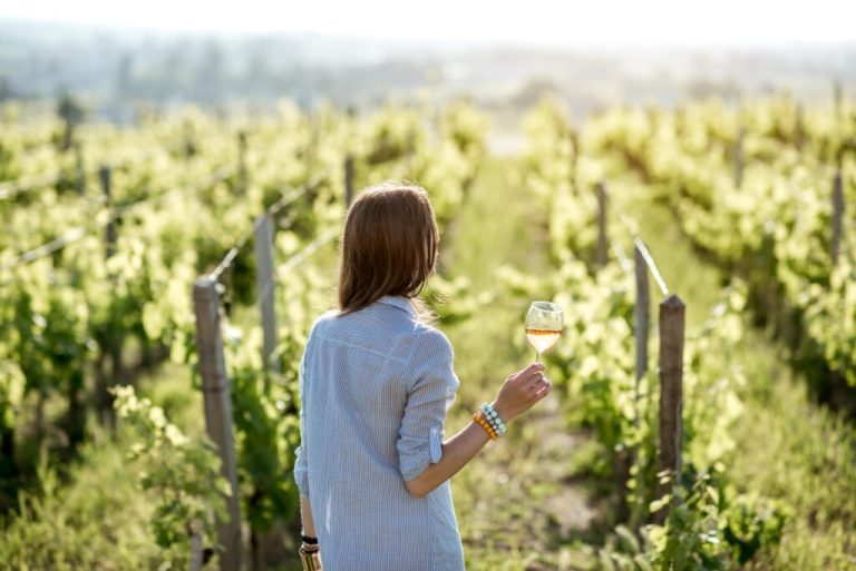 Millésimes de Bordeaux : Un patrimoine viticole à savourer